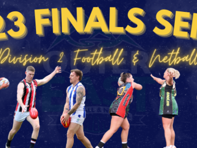 DIV 2 final series 2023